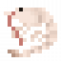 shrimp.png